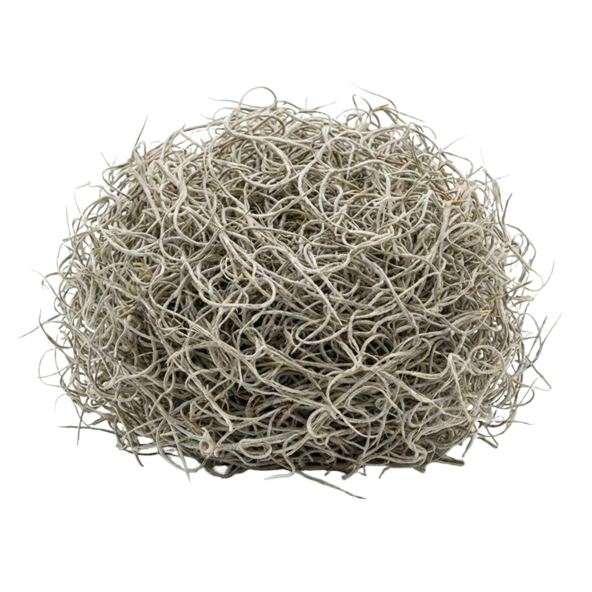 Tillandsia usneoides gedroogd, Spaans mos 1L voor decoratie, kenmerkend blad