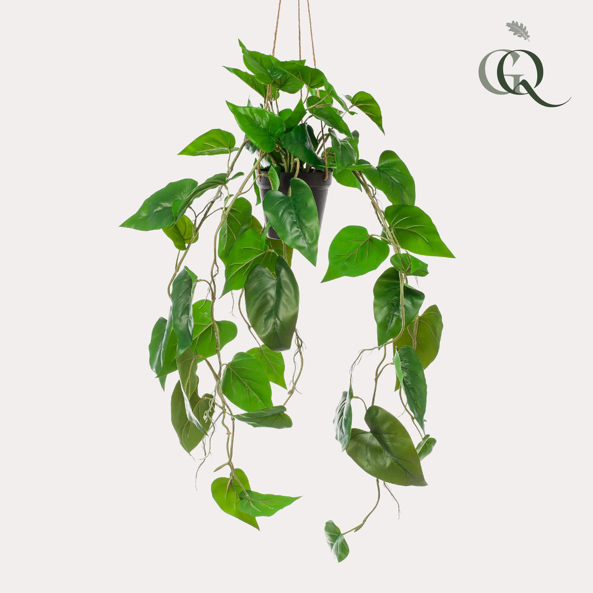 Productafbeelding van Pureplant
