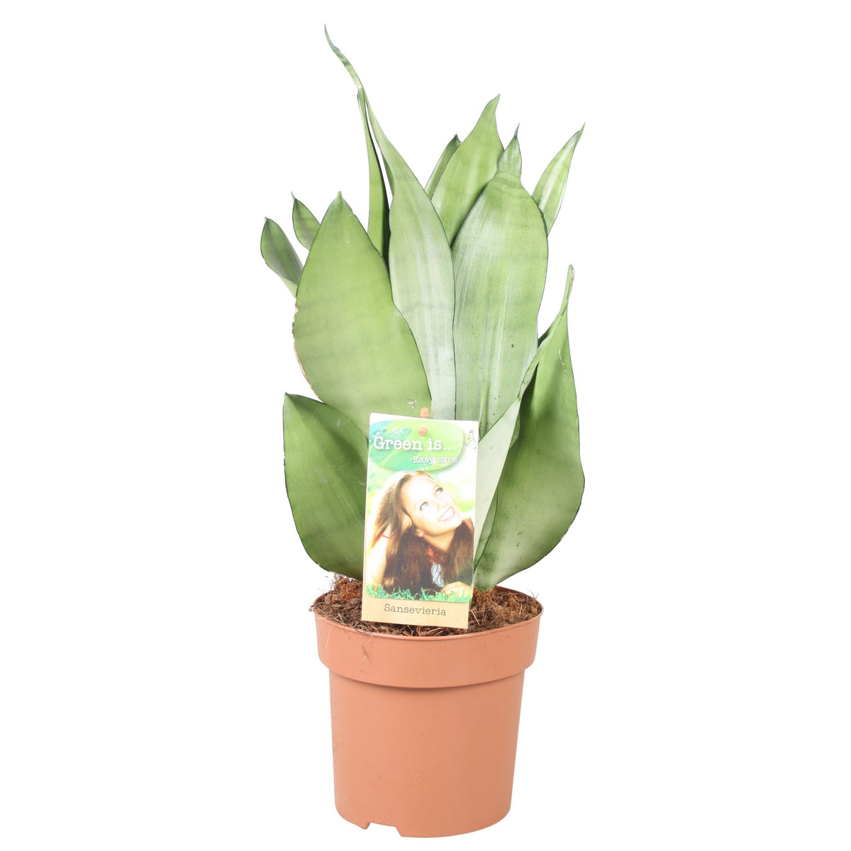 Productafbeelding van Pureplant