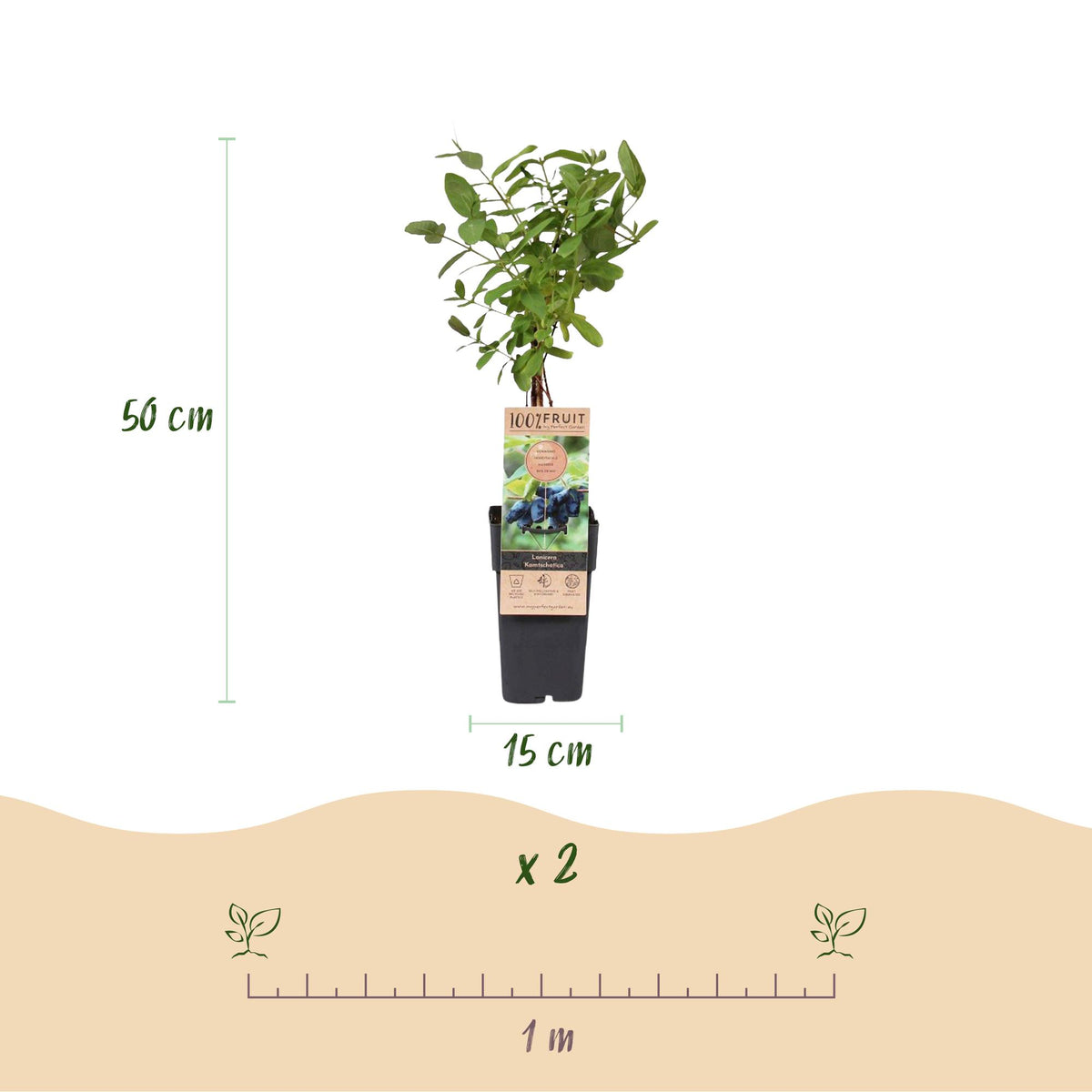 Productafbeelding van Pureplant