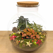 Kerst Terrarium Decoratiepakket