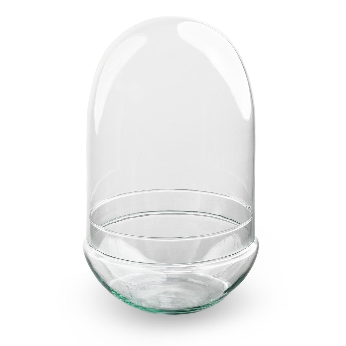 Terrarium fles tweedelig - Egg XL, plant in pot