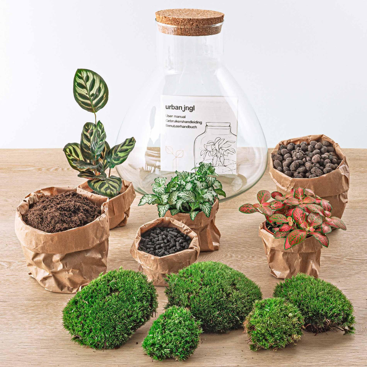 Detailfoto van DIY terrarium Sam XL Red met licht, hark, schep, pincet