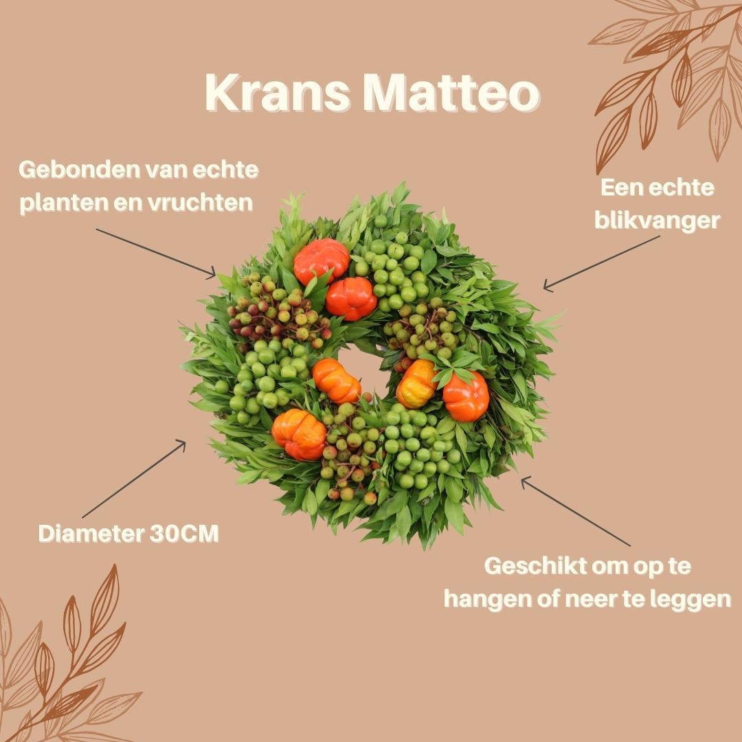 Echte krans Matteo | Ø diameter, groeiwijze van de plant