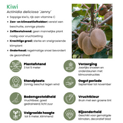 Zomervruchten, BIO fruitplanten mix van 4 soorten