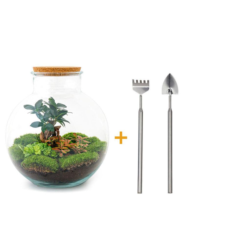 Productafbeelding van Pureplant