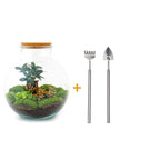 Productafbeelding van Pureplant
