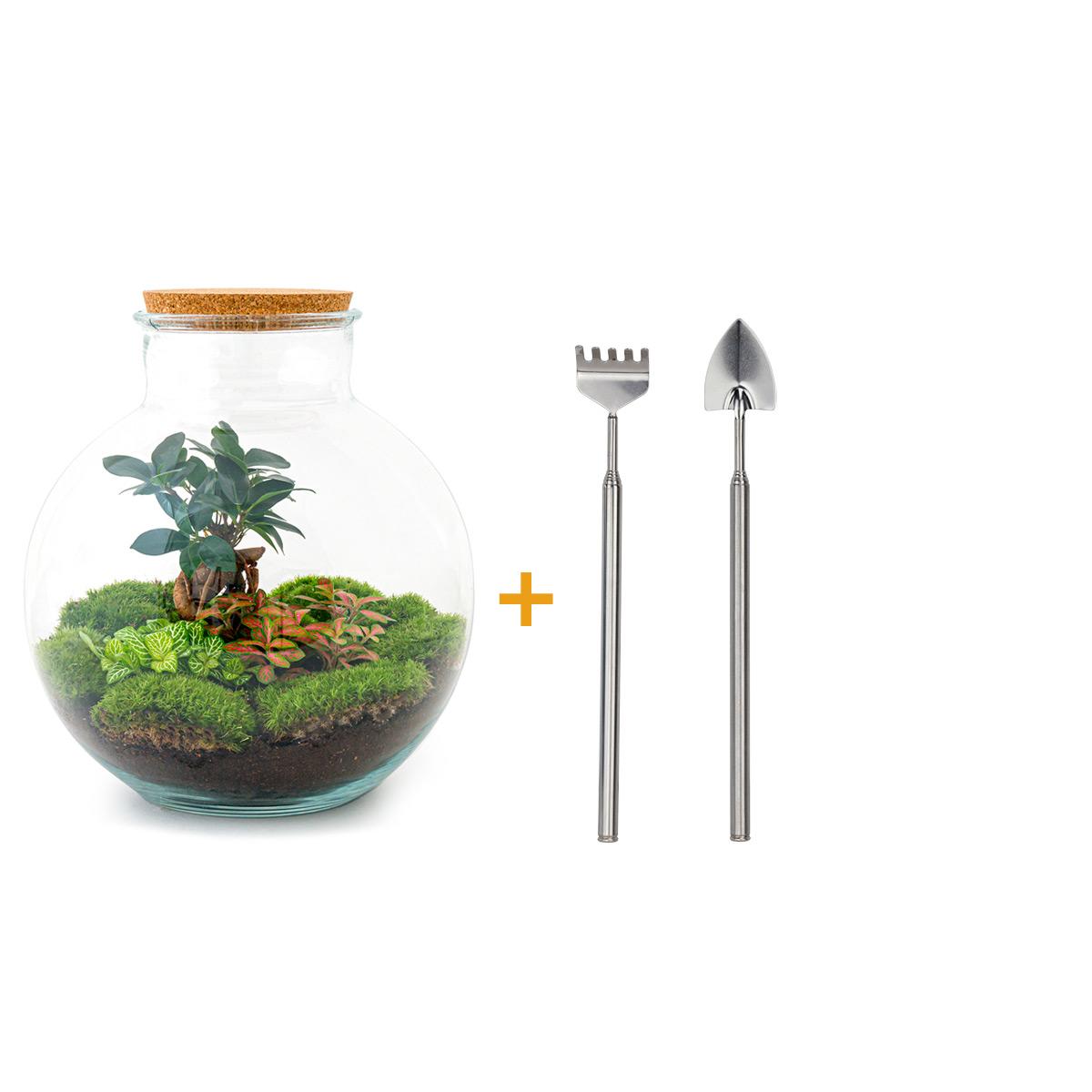 Productafbeelding van Pureplant