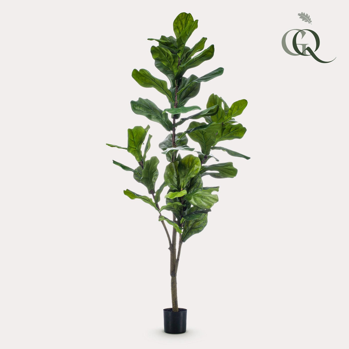 kunstplant - Ficus Lyrata  - Tabaksplant, plant in pot