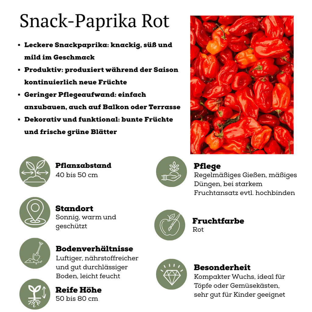Rode plukgroente mix, tomaat, paprika, hete peper, 3 planten, geschikte tuinplant