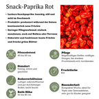 Rode plukgroente mix, tomaat, paprika, hete peper, 3 planten, geschikte tuinplant
