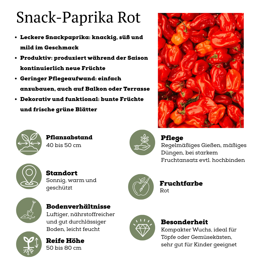 Rode plukgroente mix, tomaat, paprika, hete peper, 3 planten, geschikte tuinplant