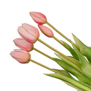 Tulpen boeket Roze - 10 stuks - &