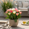Tulp Hemisphere mix