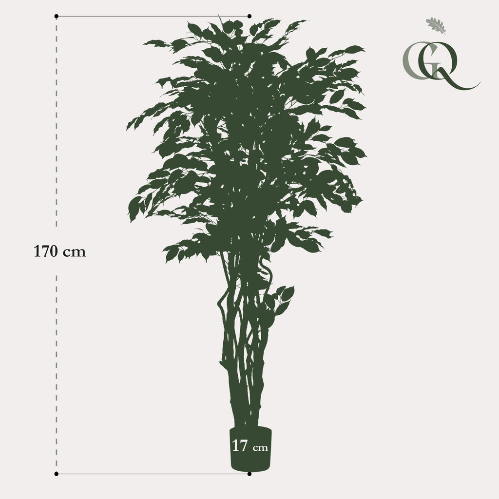 kunstplant - Ficus liana  - Vioolbladplant, kenmerkend blad