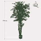 kunstplant - Ficus liana  - Vioolbladplant, kenmerkend blad