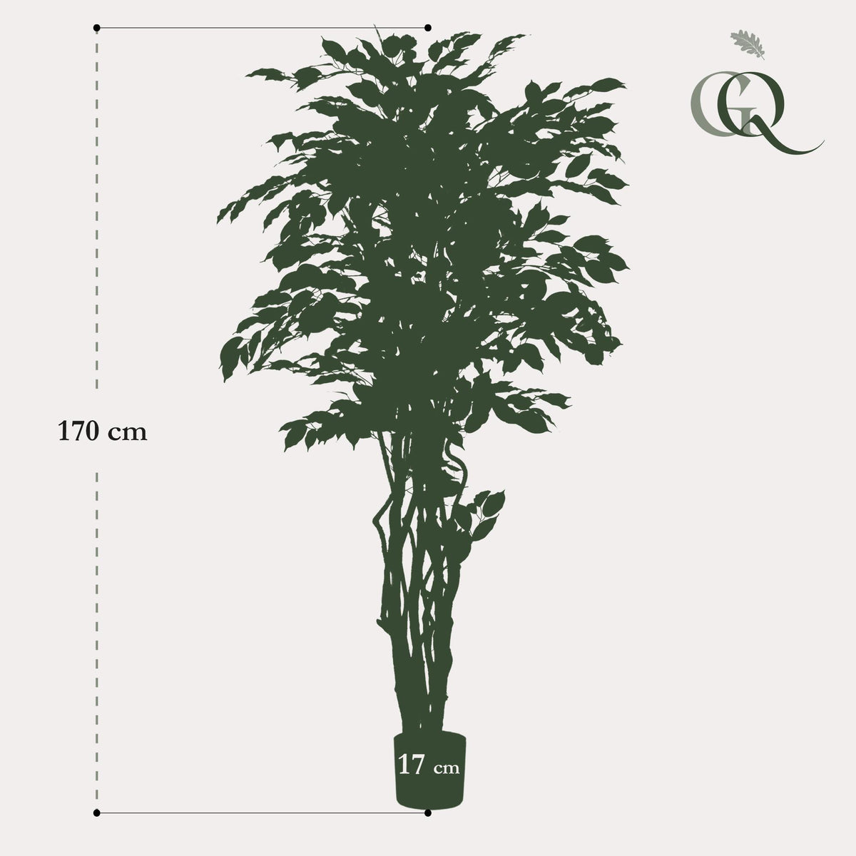 kunstplant - Ficus liana  - Vioolbladplant, kenmerkend blad