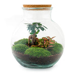 Productafbeelding van Pureplant