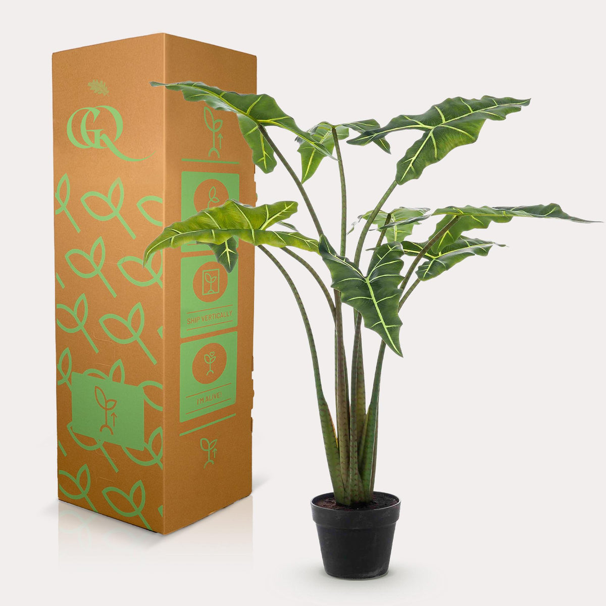 Kunstplant Alocasia 'Frydek', fluweelachtig blad, 120 cm, groeiwijze van de plant