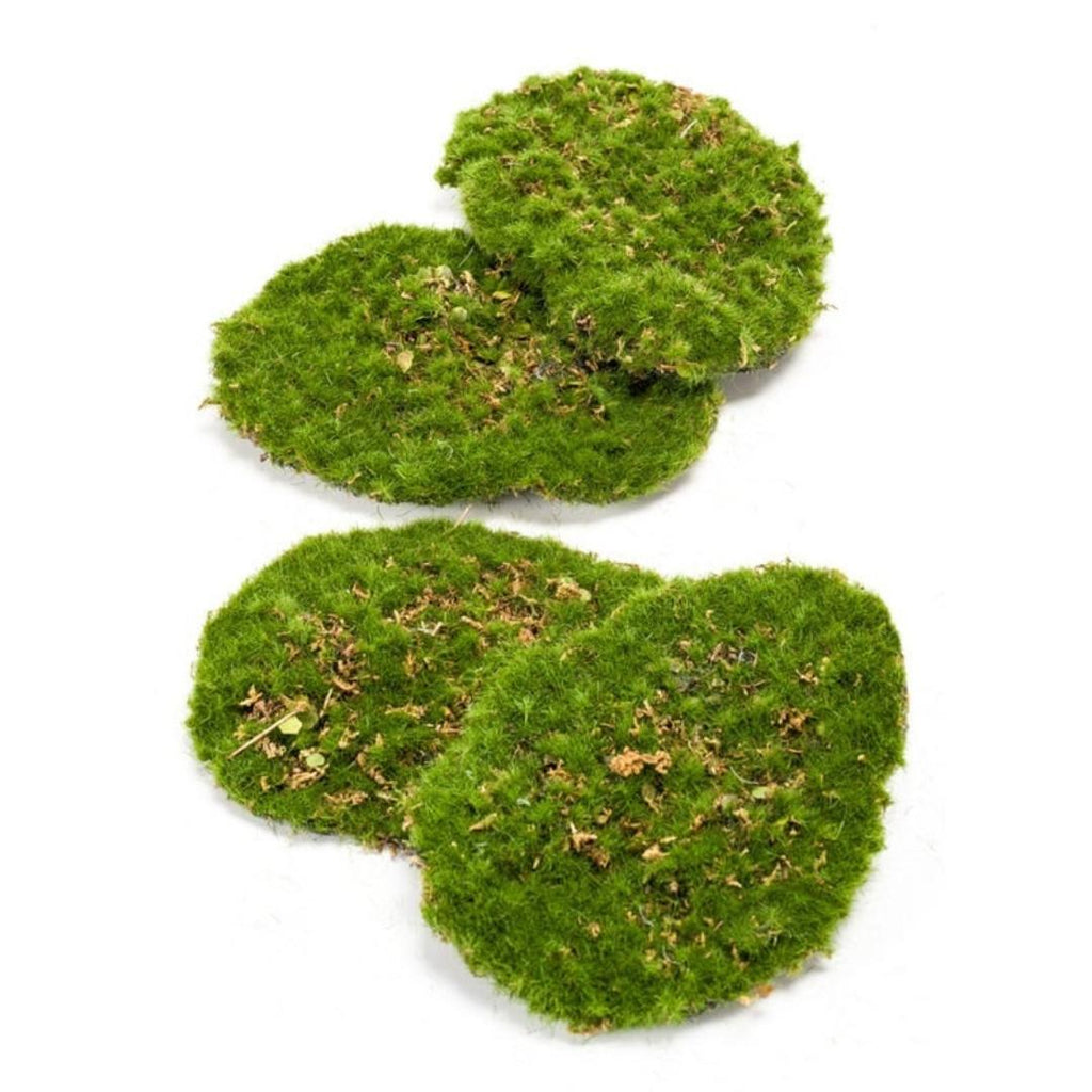Mosplaat – mos – Set van 4 – Kunstmos, plant in pot