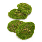 Mosplaat – mos – Set van 4 – Kunstmos, plant in pot