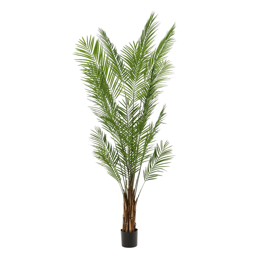 Kunstplanten - Areca Lutescens - Goudpalm, groeiwijze van de plant