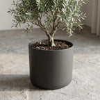 Elho b.for soft bloempot, antraciet, mat fluweelzacht, 35 cm, groene bladeren