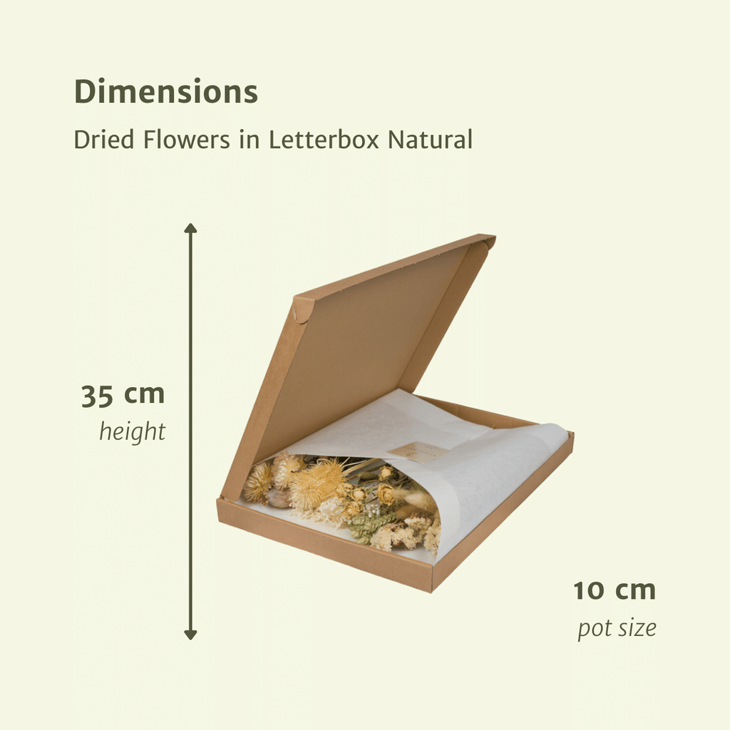 Detailfoto van Droogbloemen in Letterbox - Natural
