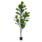 kunstplant - Ficus Lyrata  - Tabaksplant, groeiwijze van de plant