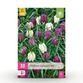 Fritillaria Meleagris Mix, kenmerkend blad