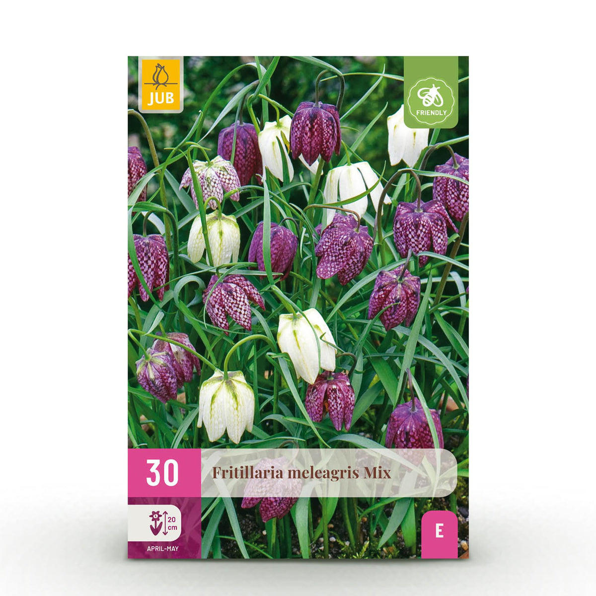 Fritillaria Meleagris Mix, kenmerkend blad