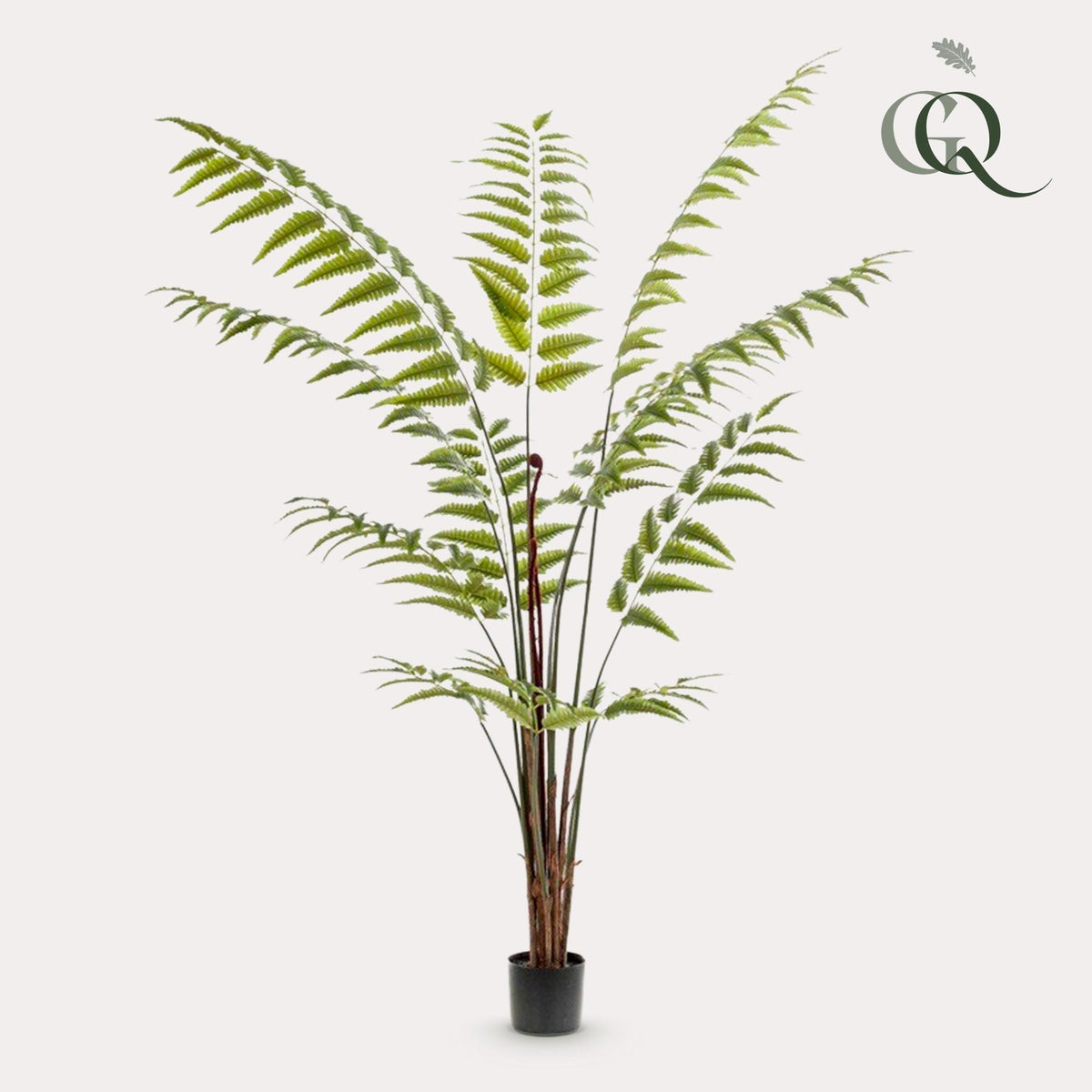 Productafbeelding van Pureplant