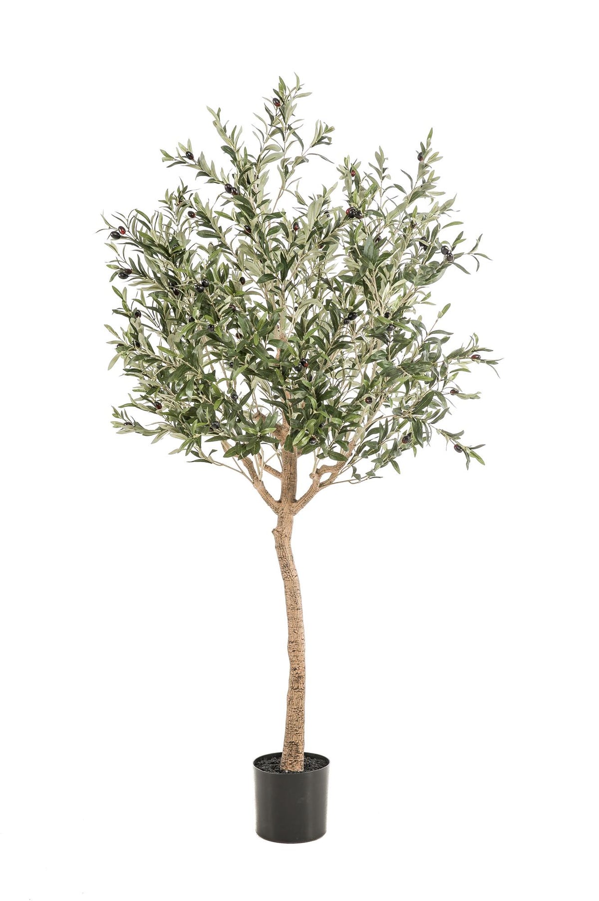 Productafbeelding van Pureplant