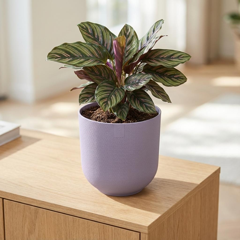 Detailfoto van Pot Elho Jazz Round Lavender Lilac - D23