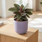 Detailfoto van Pot Elho Jazz Round Lavender Lilac - D23