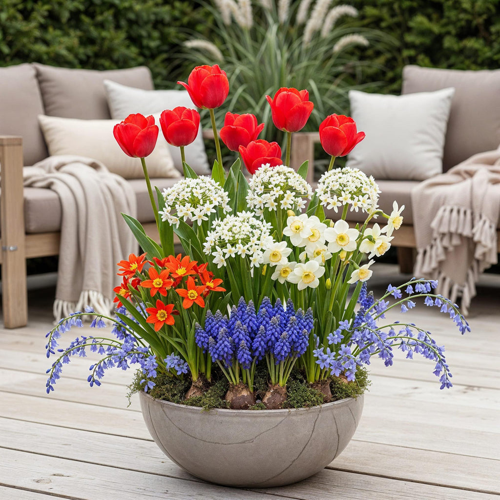 Bulbs From Holland, kenmerkend blad