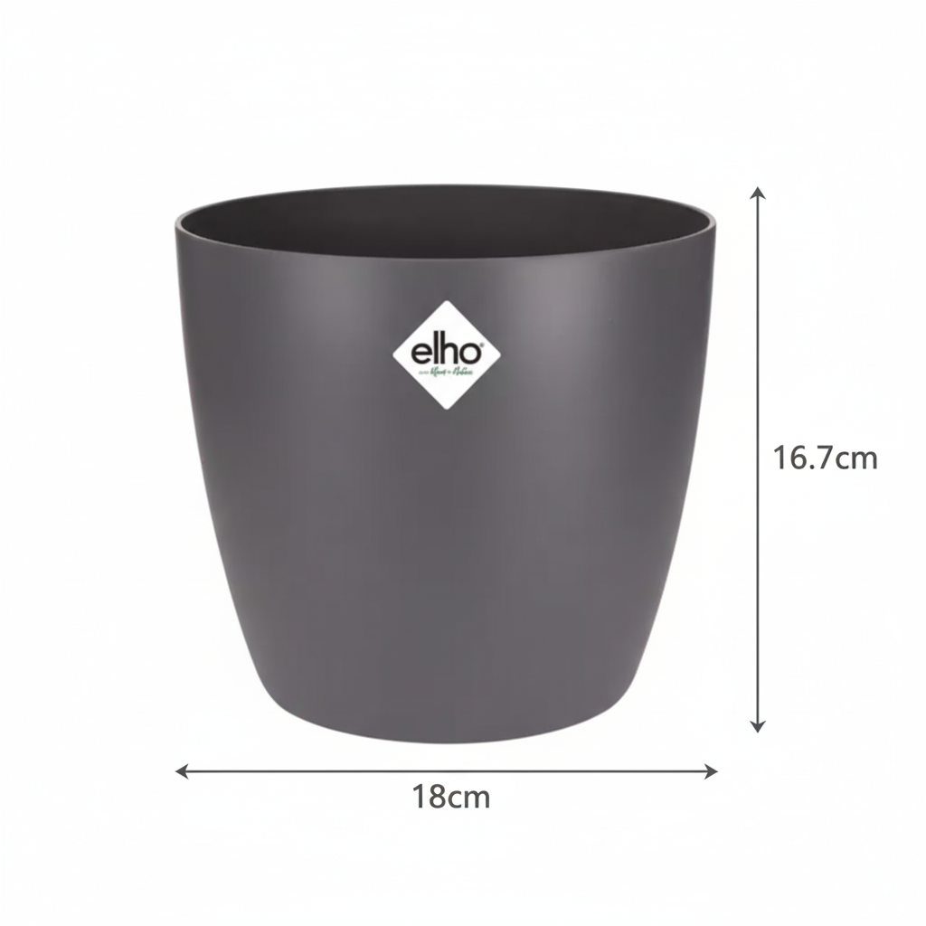 Productafbeelding van Pureplant