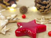 Kerst Terrarium Decoratiepakket