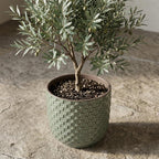 Mini plantenpot met reliëf, keramiek in groen, Ø7 cm, detail van het blad