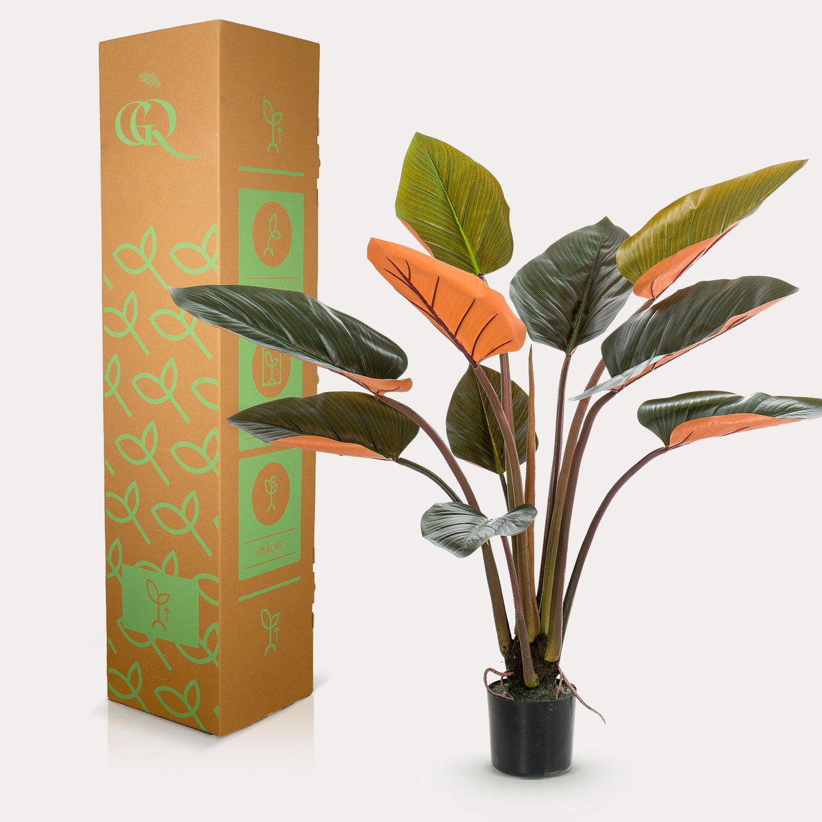 Productafbeelding van Pureplant