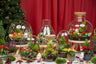 Tinsel kerstterrarium, planten terrarium DIY kit