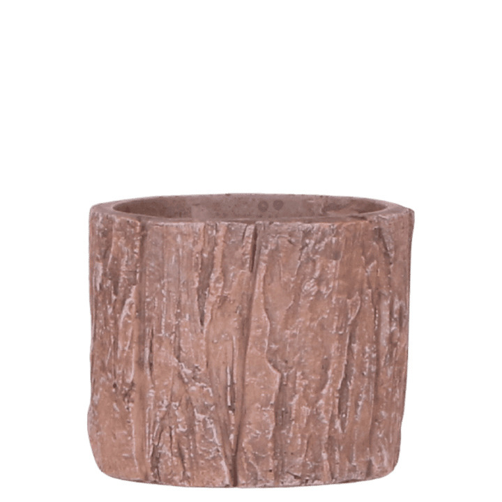 Kolibri Home Tree sierpot - Ø6 cm