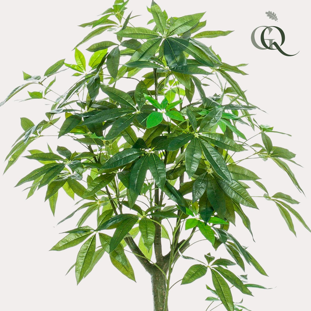 Productafbeelding van Pureplant
