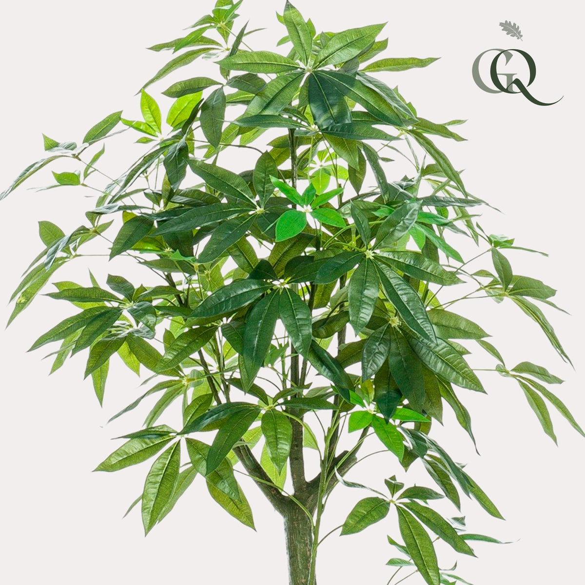 Productafbeelding van Pureplant