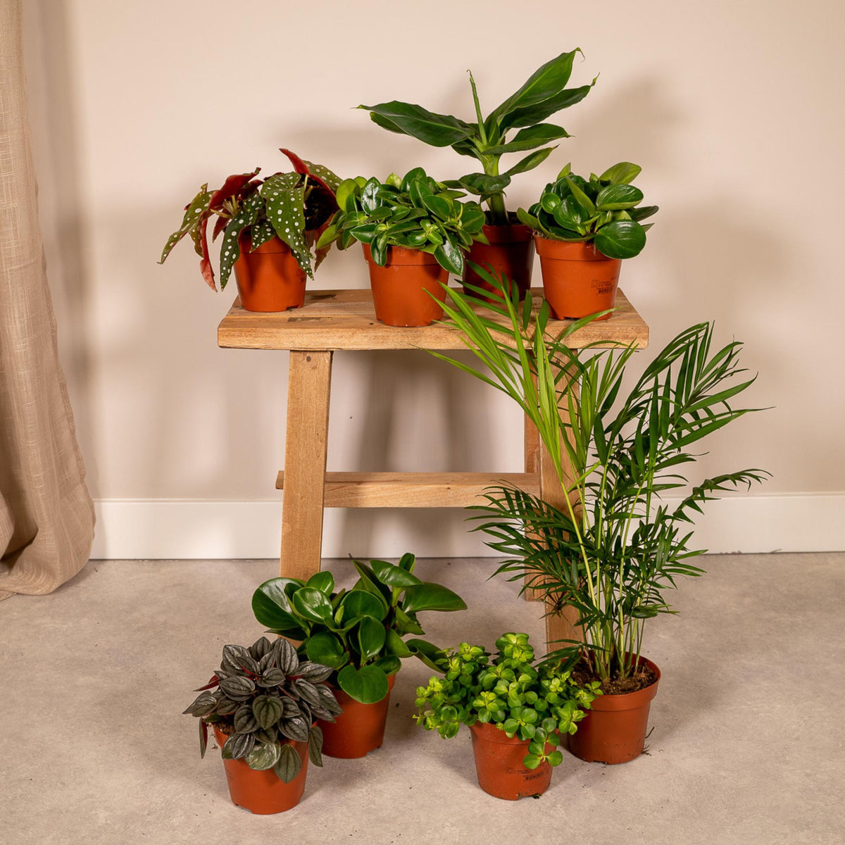 Productfoto van Verrassingsbox