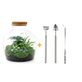 DIY terrarium Fat Joe Green