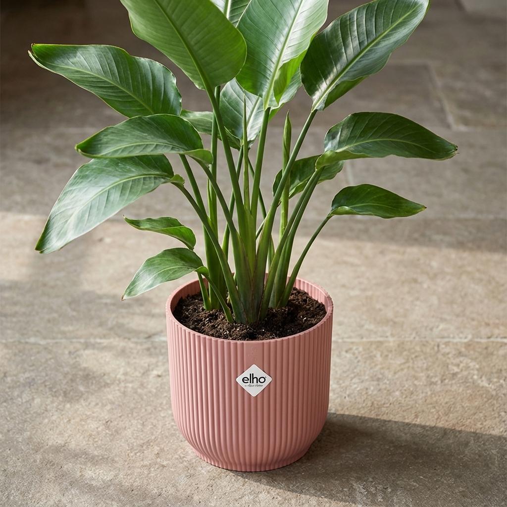 Elho Vibes Fold bloempot met ribbels, roze, Ø14 cm, detail van het blad