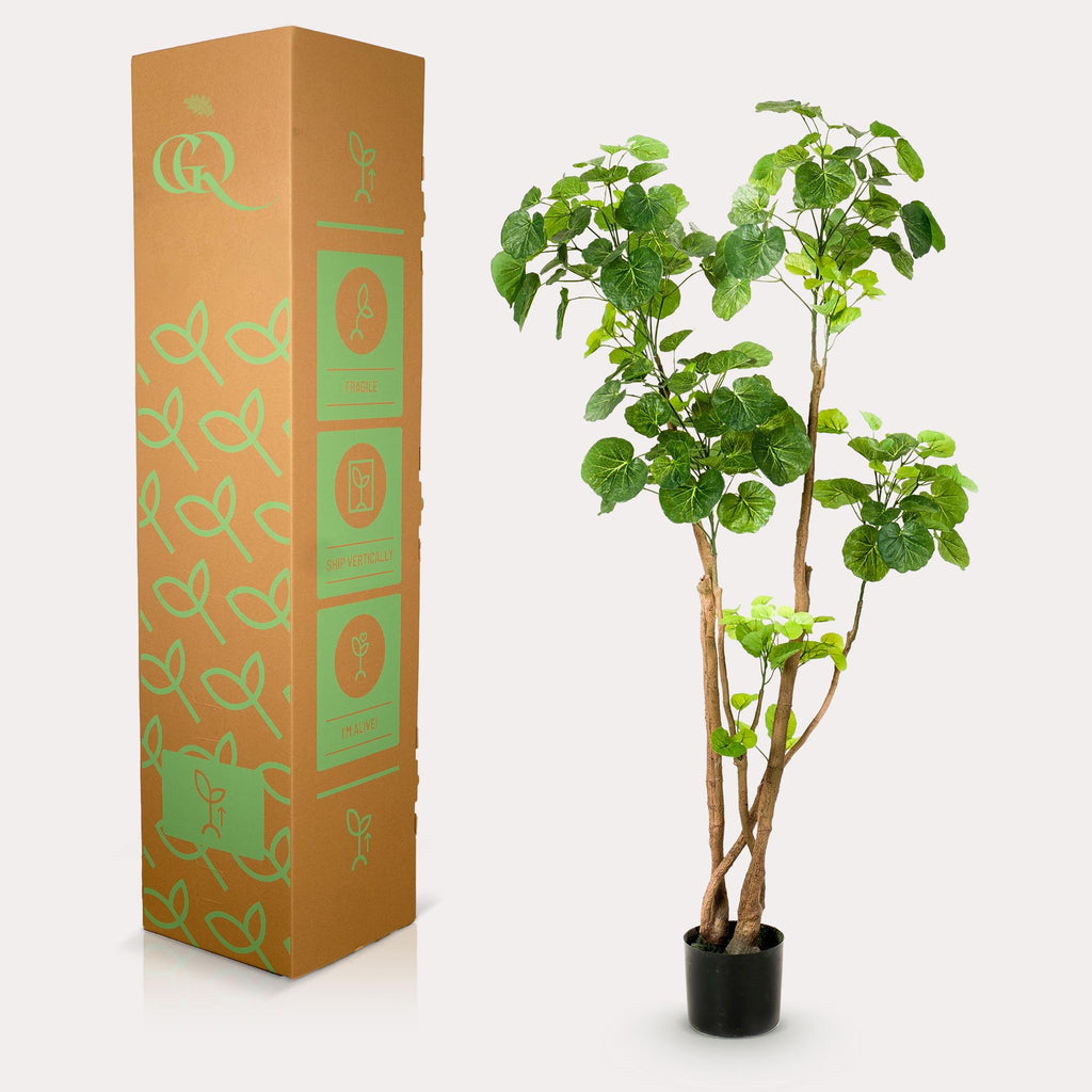 Kunstplant Polyscias aralia, dicht bebladerde takken, 135 cm, groene bladeren