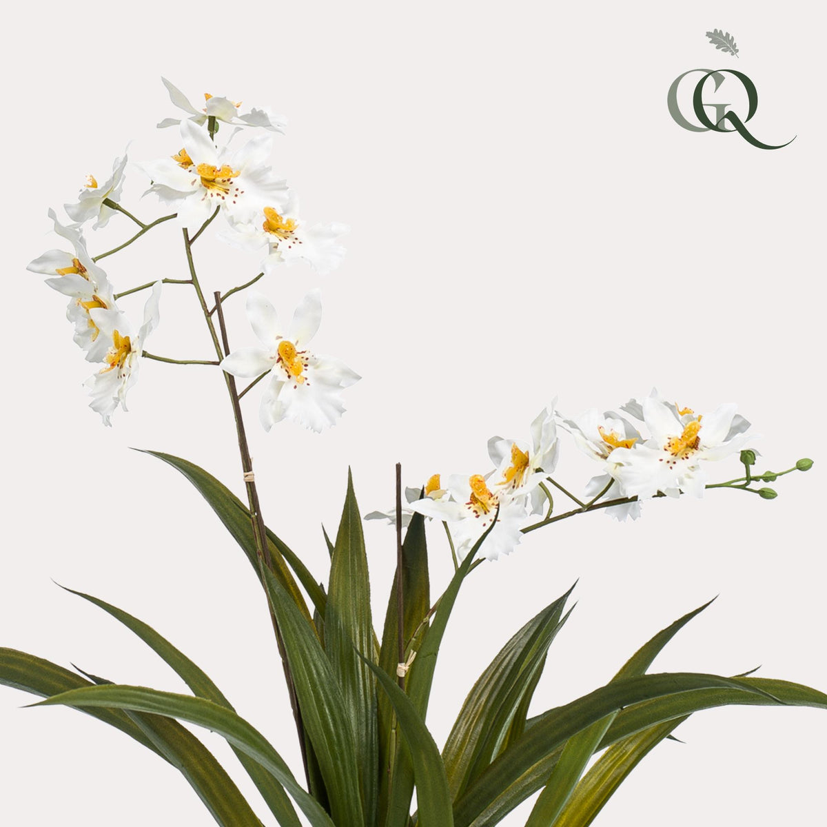 Kunstplant - Orchidee - Wit, detail van het blad