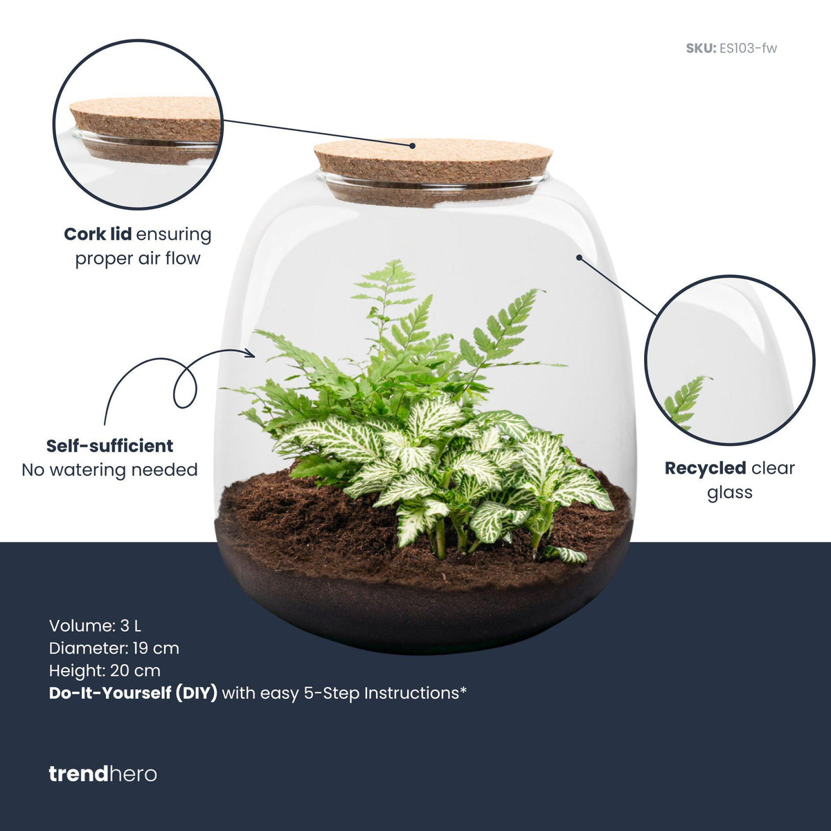 Planten terrarium Emma Mini, DIY kit, Fittonia 'White Tiger', kenmerkend blad